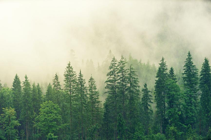 1704955798198526.png 图片1.png