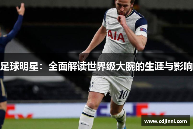 足球明星：全面解读世界级大腕的生涯与影响