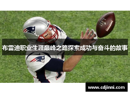 布雷迪职业生涯巅峰之路探索成功与奋斗的故事